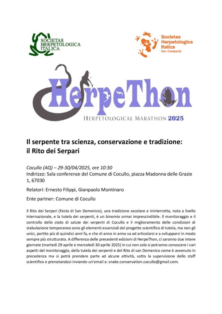 Festa dei Serpari 2025 a Cocullo: info utili e trasporti 2 Festa dei Serpari