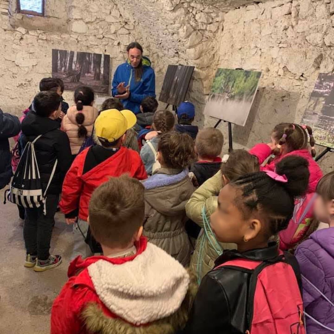 mudi goriano valli 1