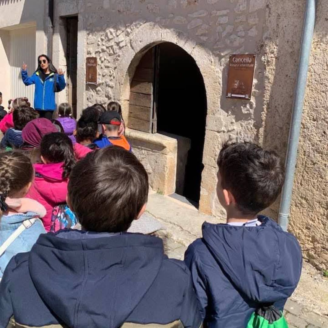 mudi goriano valli 2